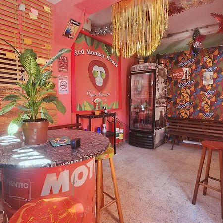 Red Monkey Hostel Barra Funda Sao Paulo Bagian luar foto